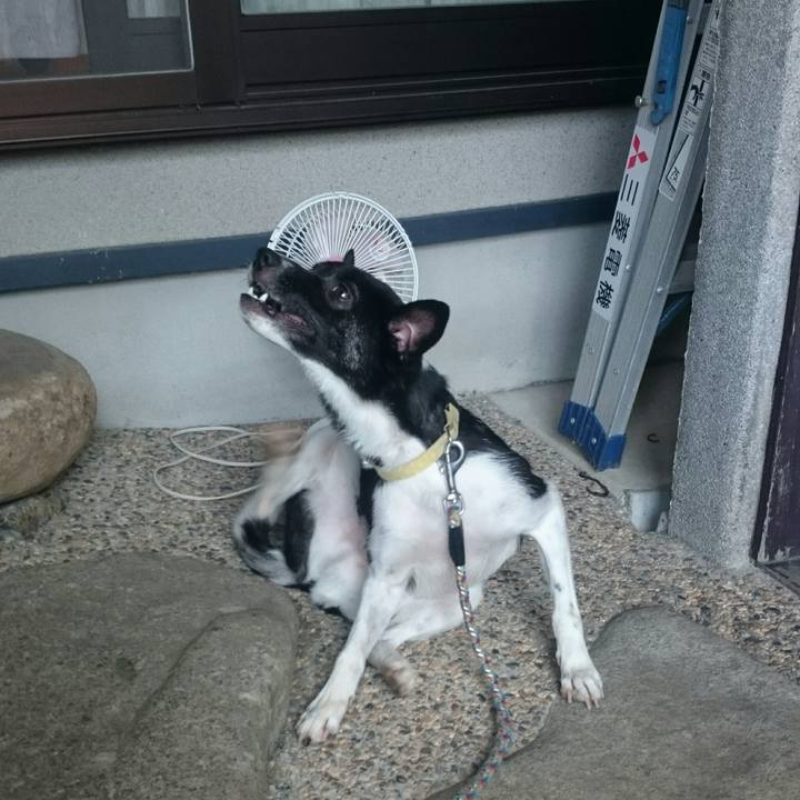 68d2a2f8 99f6 4f25 b973 e8610a6a4136