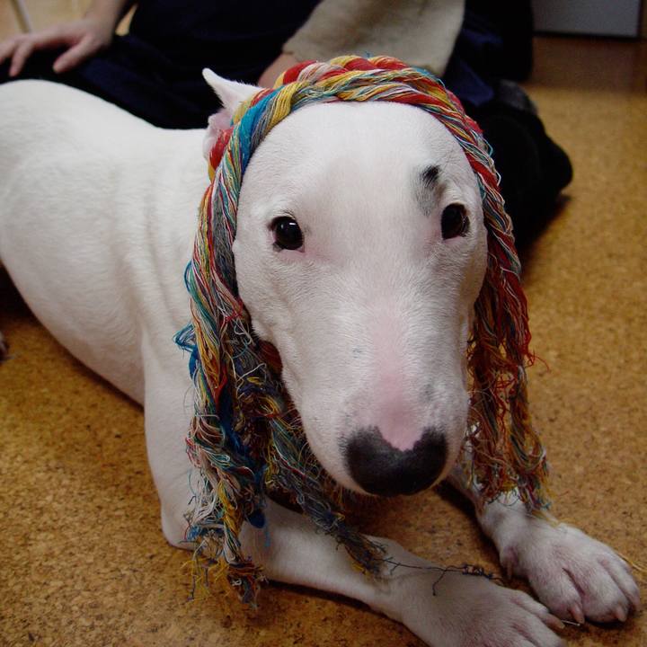 68d2f784 0b4f 48a8 8241 698cc05e5973