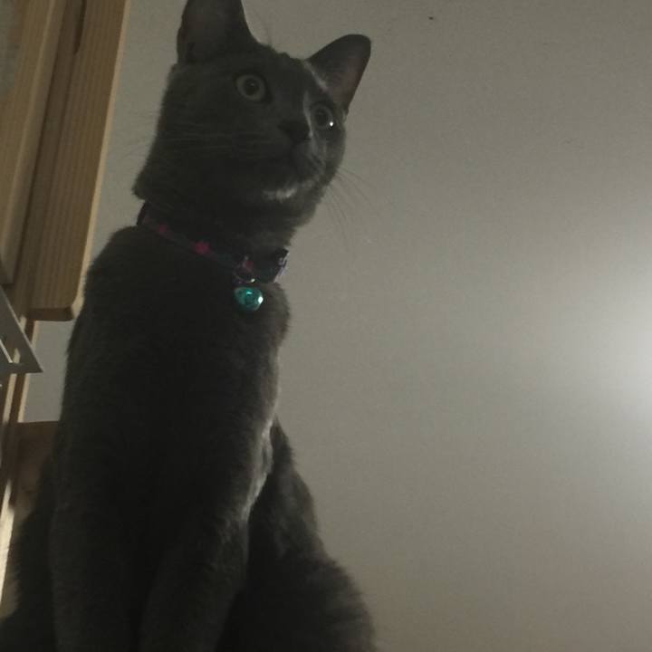 68d359be c1ac 44e9 93e8 62eecd61e7ee