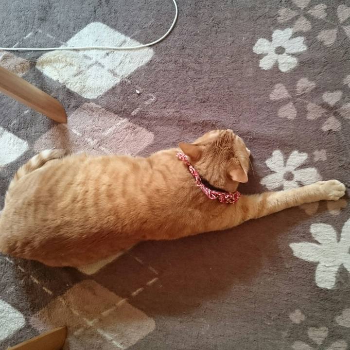 68d393a0 610b 417a 8e5d 2cc7207c0926