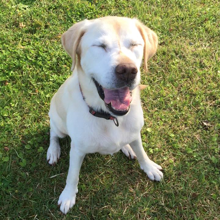 68d4b7d3 35d3 41cb 9f89 c5ddd97a042f