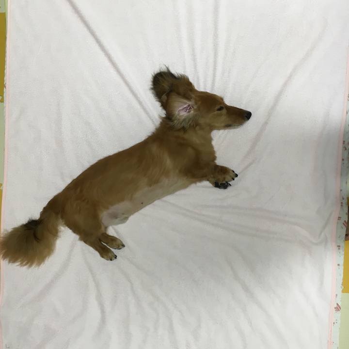 68d51e97 594e 4ec5 ad89 56e73b172213