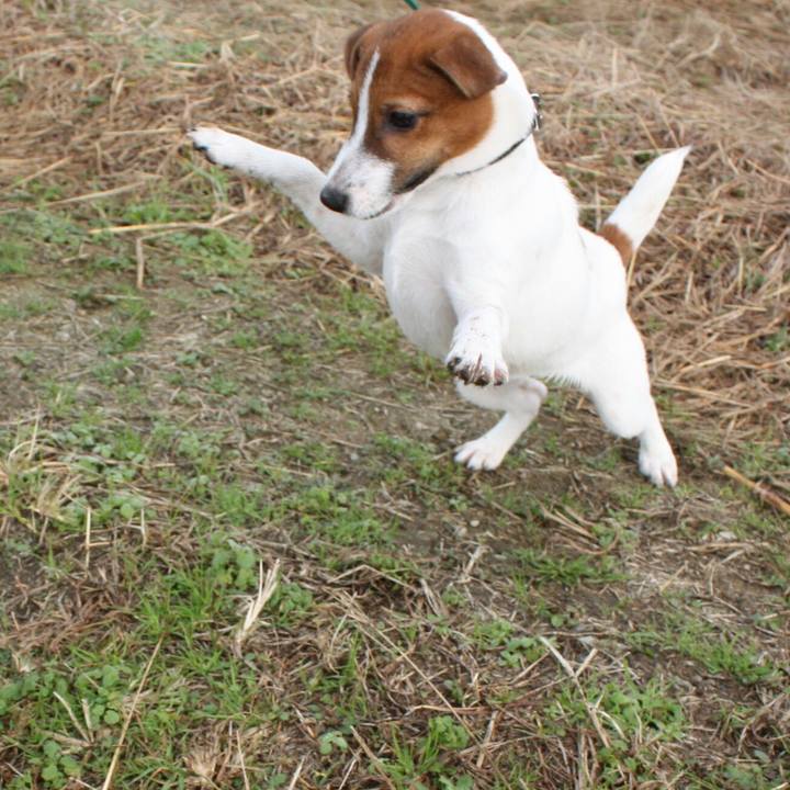 68d55df3 8c51 4a3d 83c5 fcf610131877