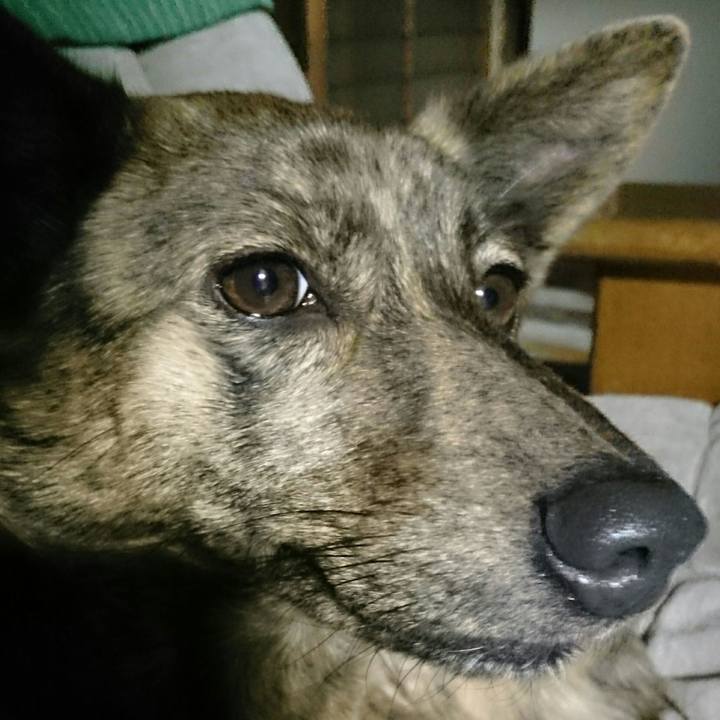 68d58028 7544 4265 8f54 295245cbb56d