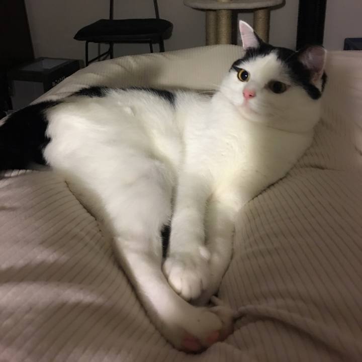 68d7252c 7a64 4017 afa9 d0b99614c94b