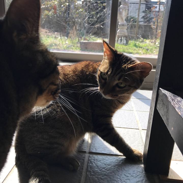 68d78b83 53ae 41ae a2ac e98a00ecee02