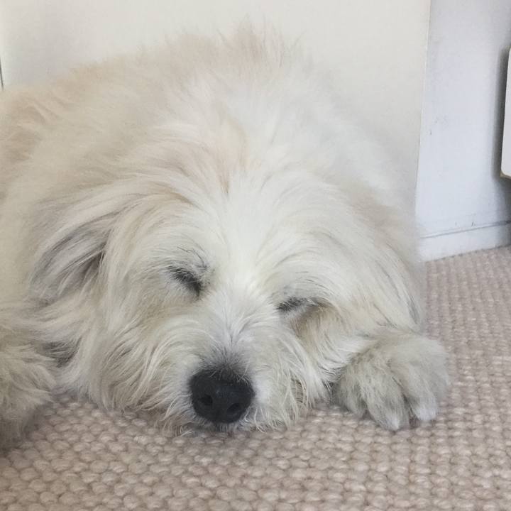 68d7b3c1 2802 4057 9273 1301d3fd0939