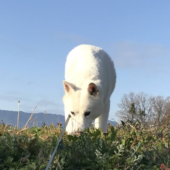 68d7f550 12e6 4f94 9eef e2f83dbdbc7d