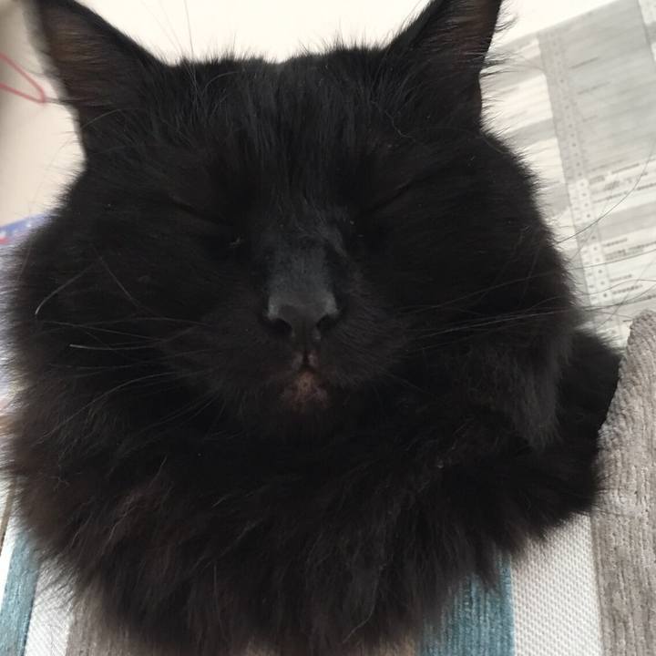 68d811b3 de41 48b9 9a53 9dac719e3ebc