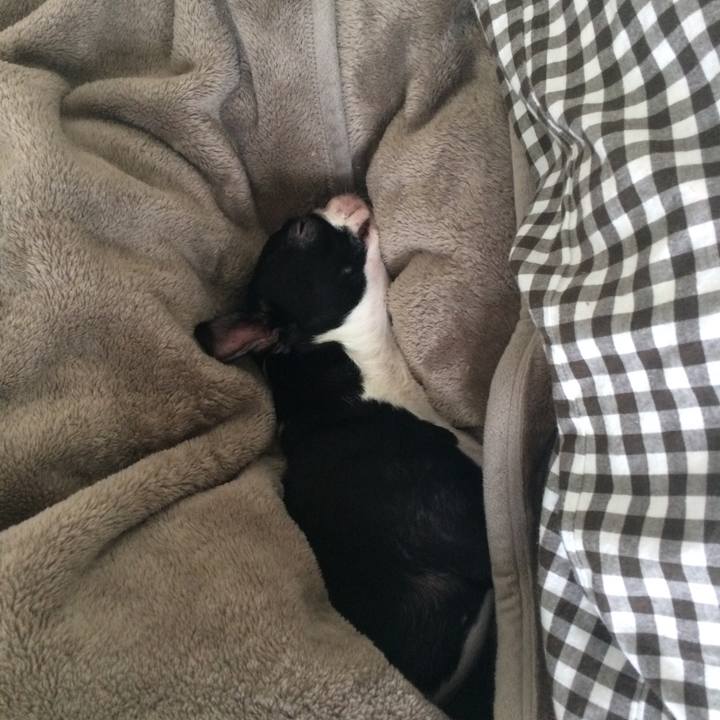 68d871db 25f8 4034 b6f5 a3c82140546b