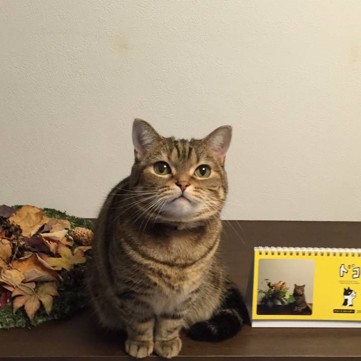 68d94ff5 74d5 4f9c bdff 38de3d3c02bb