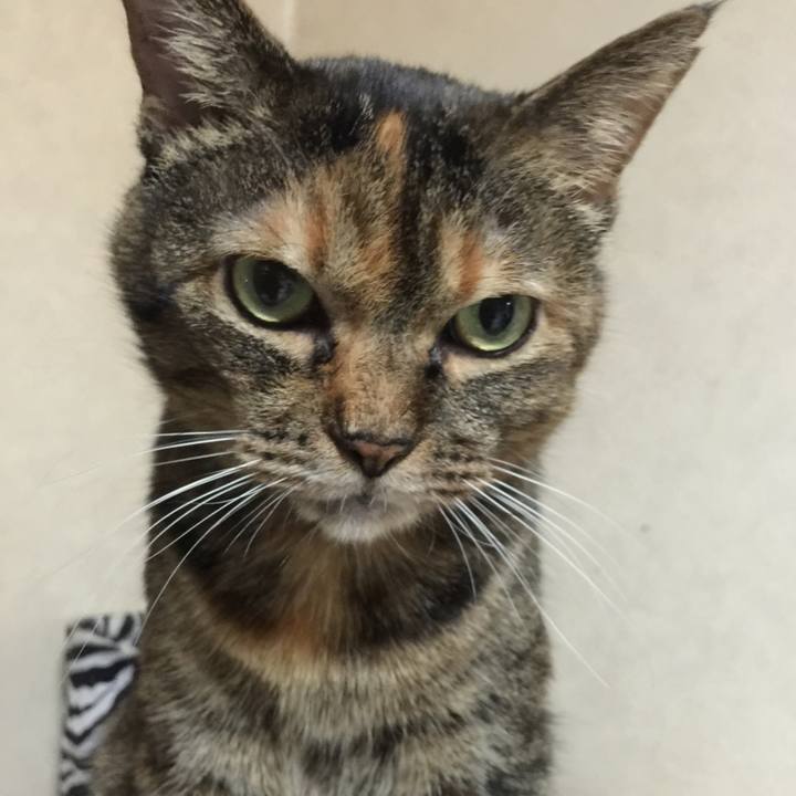 68d95dcd bc52 4cce 9d86 eb34e600ece9