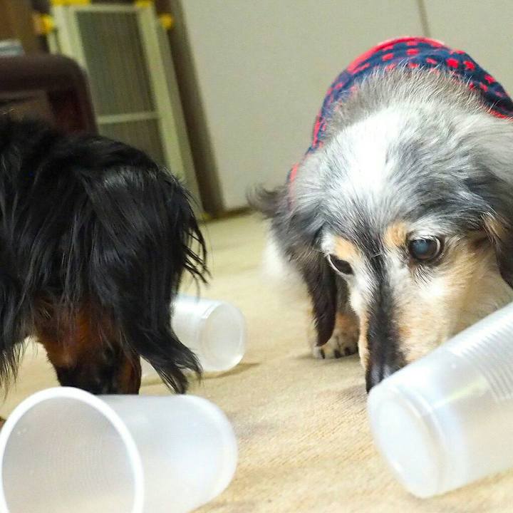 68da93f9 75b6 4550 8193 c29e11f788f8