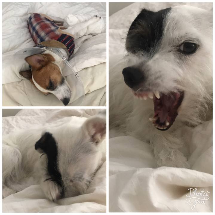 68da9af2 957b 4daf 880a c5938f72ad28