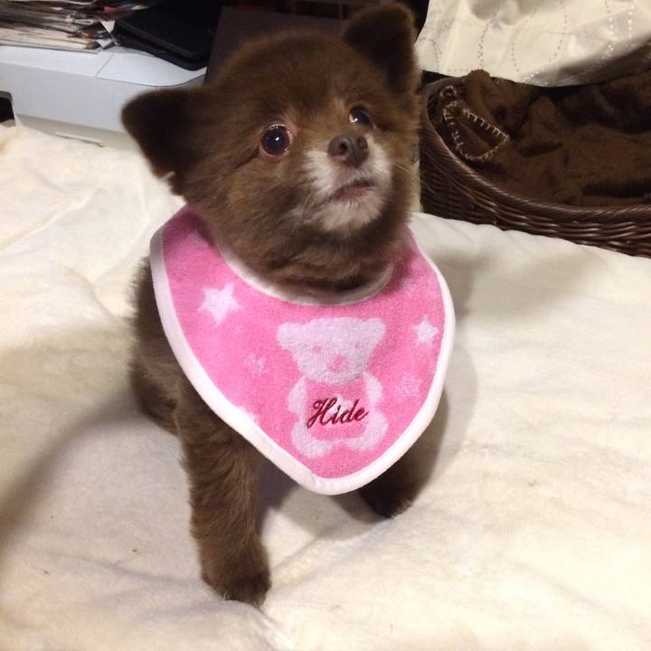 68dab511 7bac 40ce 9a6e 8119c893da39