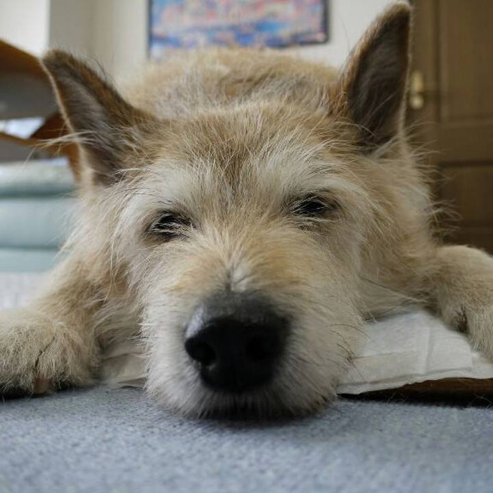 68dac84a 357a 4d03 bf14 7a92b99114ff