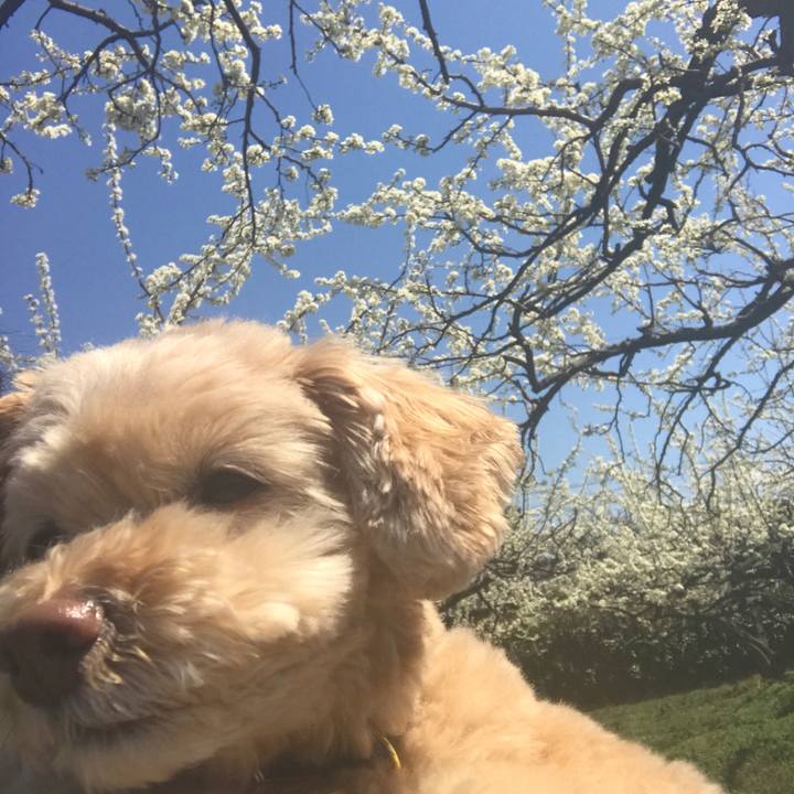 68db54e5 a3c0 4d12 9170 ad75248fdf9f