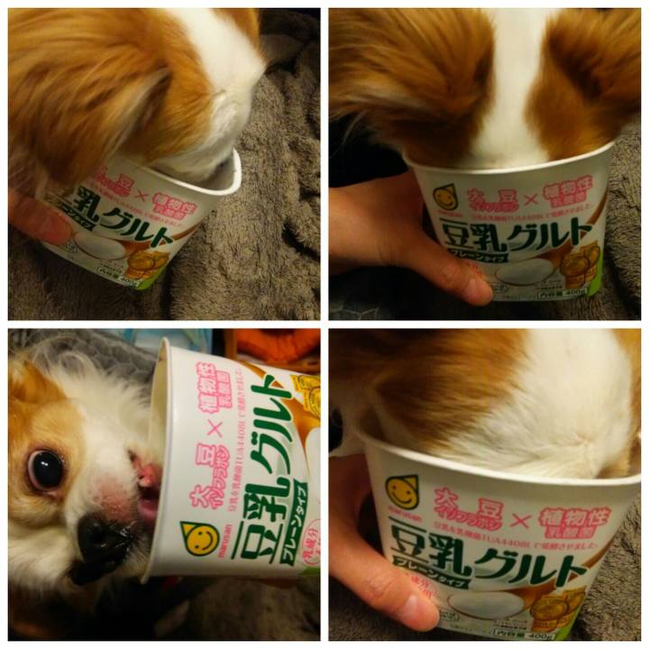 68db9ded d8b6 491c a763 687959373fc5