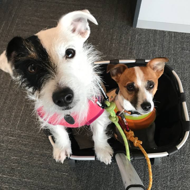 68dbdce2 16cc 4cc2 9d37 b6b318325f06