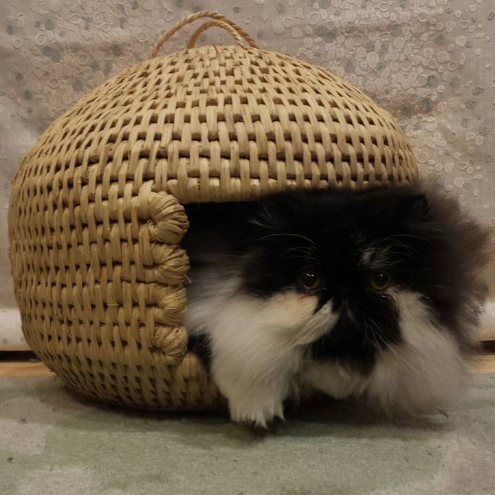 68dc531f 7363 415b b9d6 240e3462b5a9