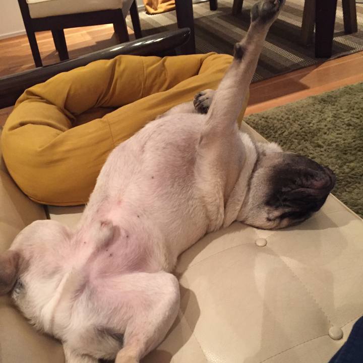 68dcd441 112f 4992 b677 a961b4ee66f9