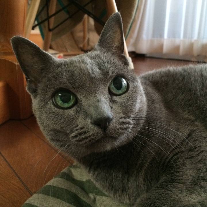 68dd5f1c f745 4508 abb0 fcb3d6894f46