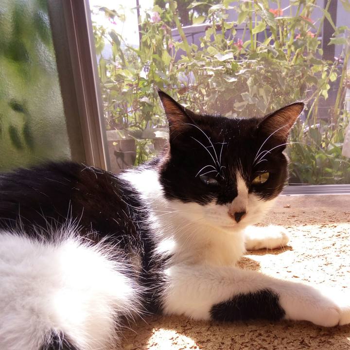 68dd74aa acc5 45df a180 238df6adcf2d