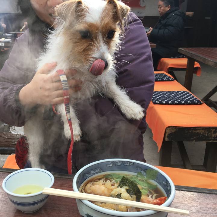 68dd9f16 5029 4cb1 bbcd 368f9c82a808