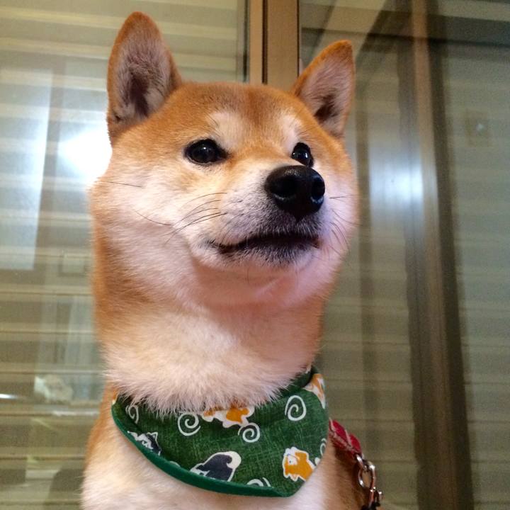 68ddc87b dacb 4dcb a35e 1d036023e9ac