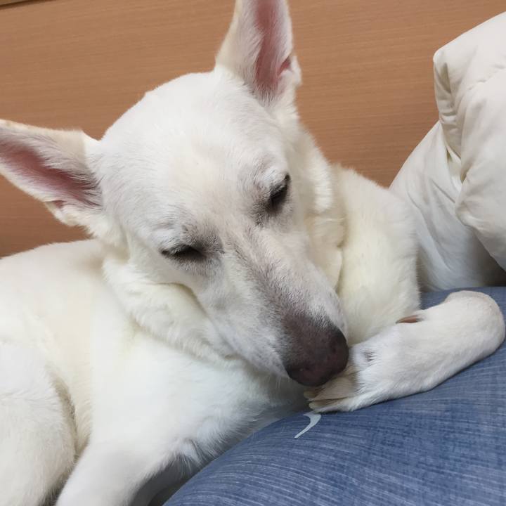 68dddee2 f308 4bd7 86ef 288285122155