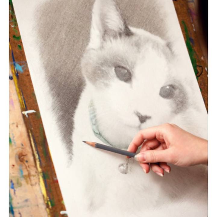 68ddf524 3d8e 4f0b b7d4 7dfe8502d6e0