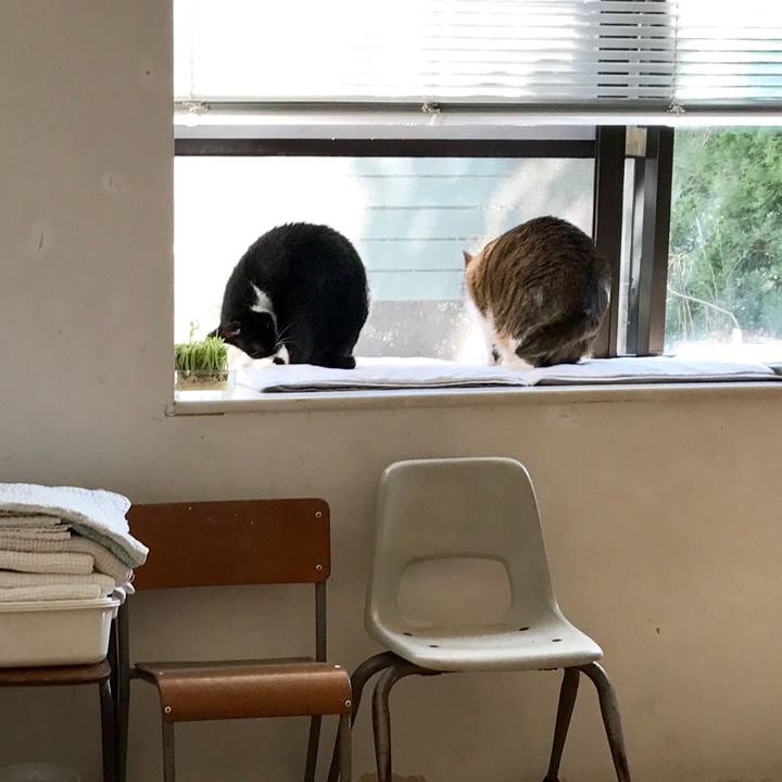 68de9499 11c8 4224 8ed7 1d9bf4f6a4ad