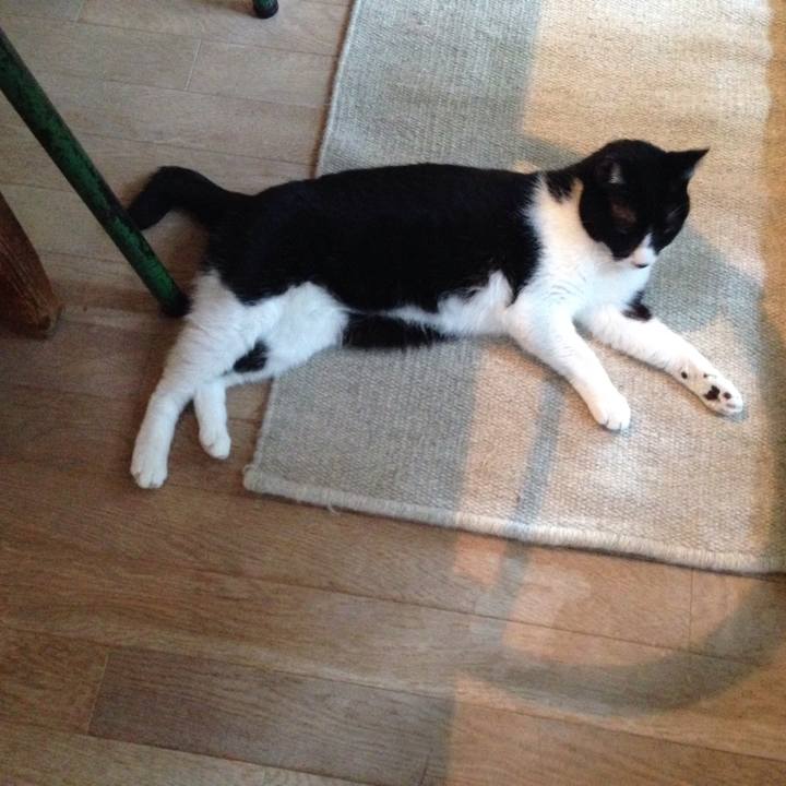 68deca57 cd78 4ae2 a334 96465dcc8cc8