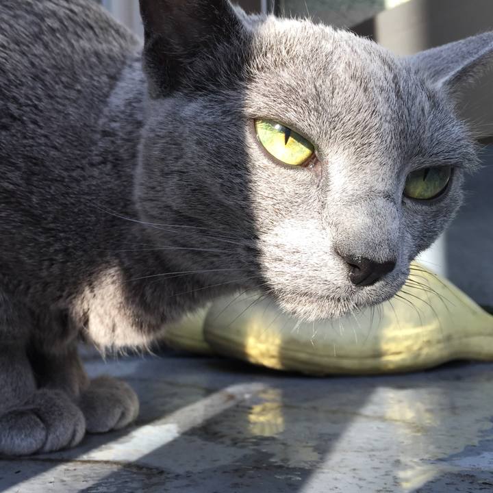 68df21a3 96f9 409d 8c74 4225a7239055