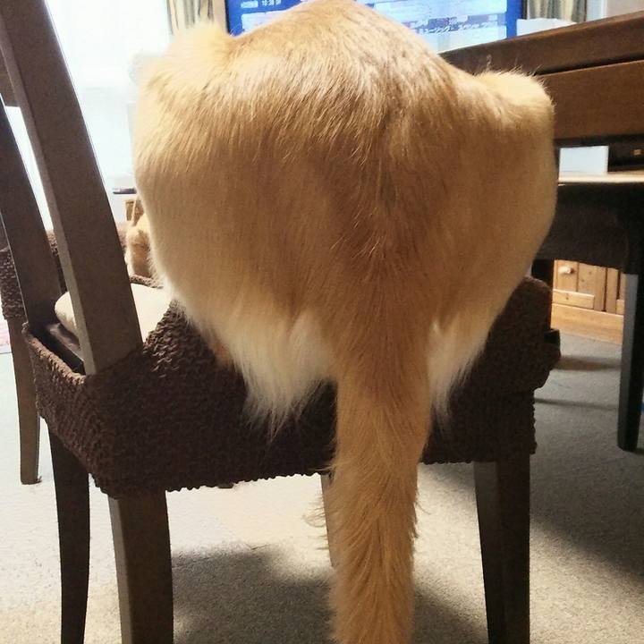 68e0a992 9f7b 4d9b b011 957de29ba447