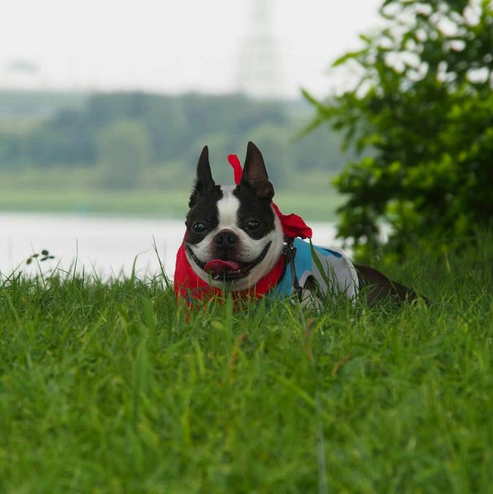 68e19ee0 89fb 4700 909b 34d663aa9fe2