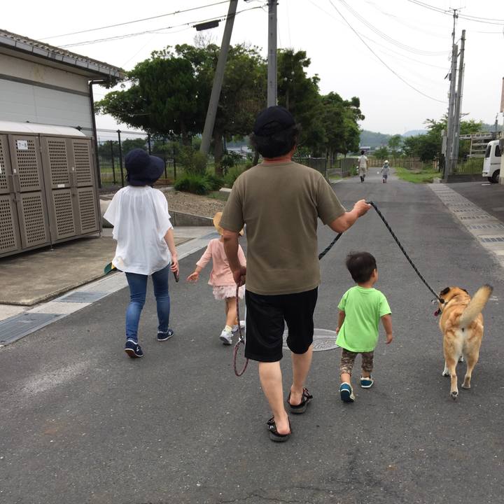 68e24c16 5665 4fb7 a56f 81ba1949c060