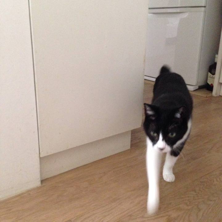 68e2b087 54c8 4c73 9692 12d6e9ed3999