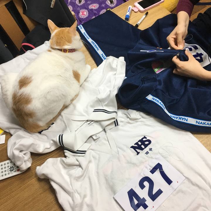 68e2b821 162f 4e43 8cac 3b6d1fec87de