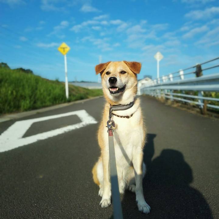 68e31f97 c84b 4504 88d6 872f2852189c