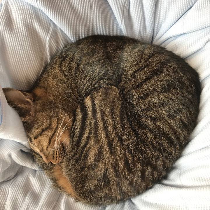 68e374c9 f6ae 481e a393 7f993ec7a017