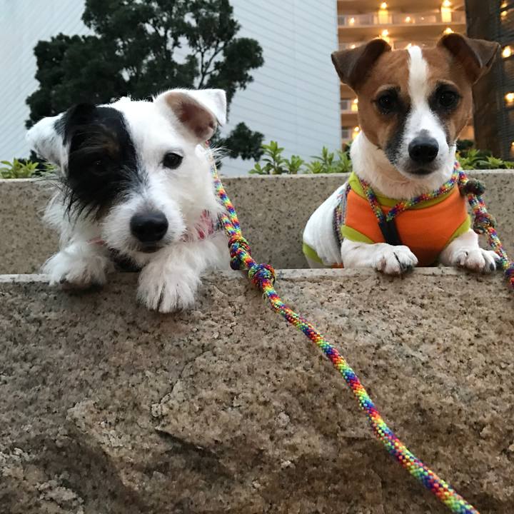 68e3c879 9cdb 4f2b 86db edbccb51ad8a