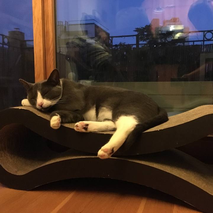 68e43c54 3582 4ef1 93ea f7f0b9c86c5c