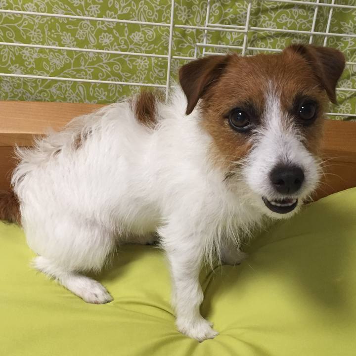 68e5010c 7772 4aca b091 6f01ca9f8ac2