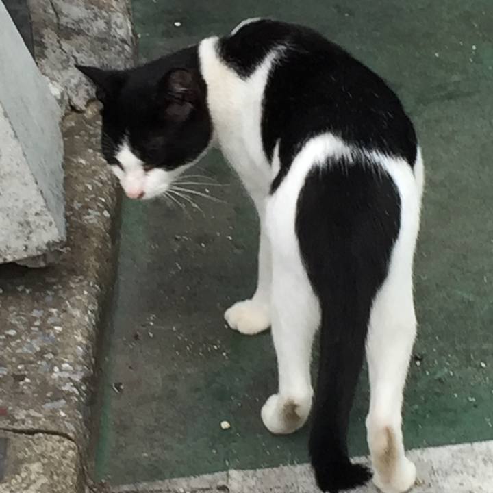 68e5bec1 3e10 417c 80e0 f2832a898c0a