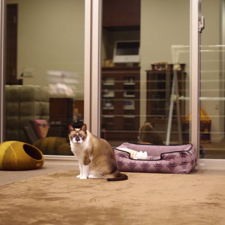 68e5df81 0501 45fe a8fc 3b1569e7f4e2