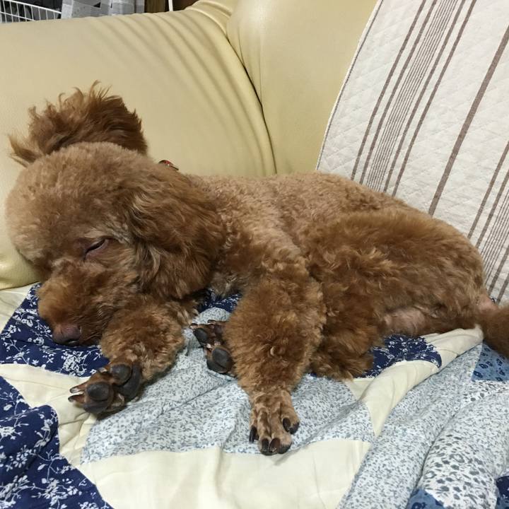 68e6712b 751f 46d8 a3d9 99d278f22cf1