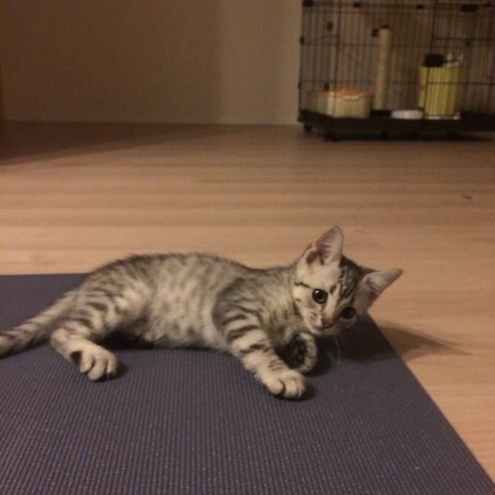 68e6894b 9c50 41dc b152 c17feb451e12