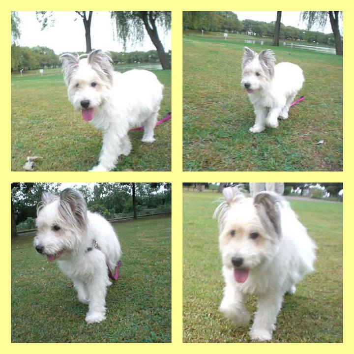 68e7267e 3f2a 46a5 bd1b d6ef11374c5d