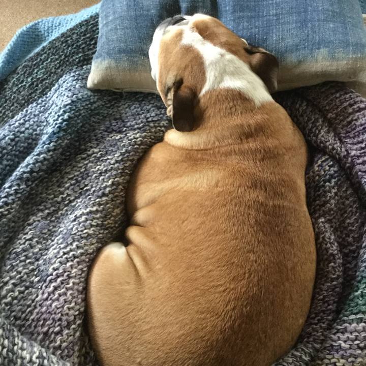 68e8892b 5037 42a1 ba9b cfb1ad6e5b05